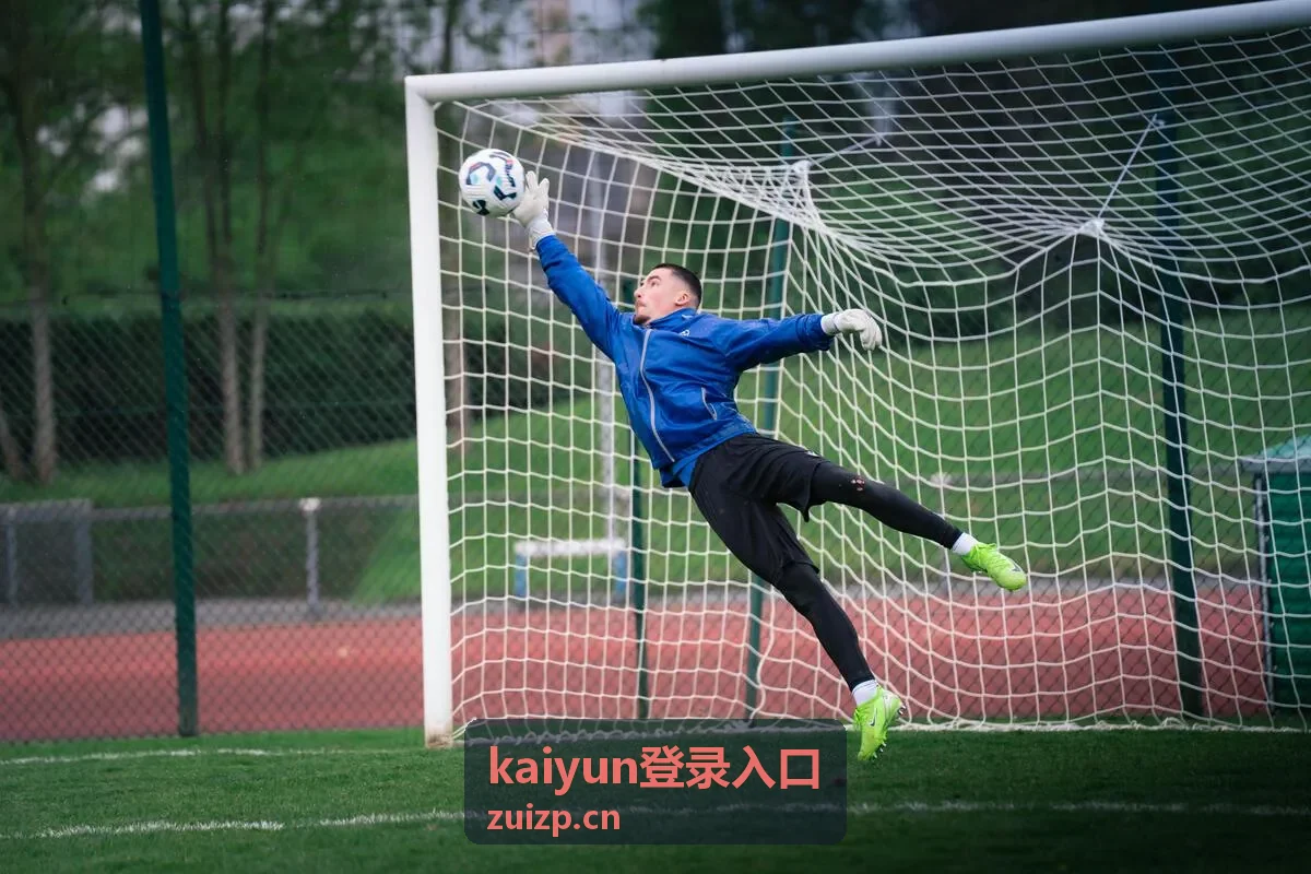 kaiyun登录入口核验检查项示意
