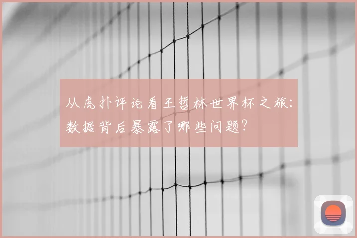 从虎扑评论看王哲林世界杯之旅：数据背后暴露了哪些问题？