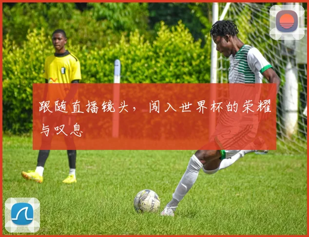 跟随直播镜头，闯入世界杯的荣耀与叹息
