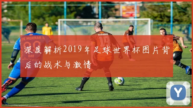 深度解析2019年足球世界杯图片背后的战术与激情