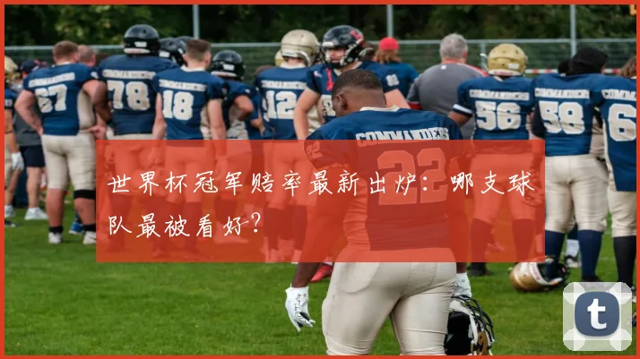 世界杯冠军赔率最新出炉：哪支球队最被看好？