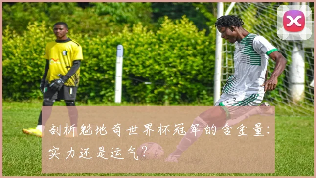 剖析魁地奇世界杯冠军的含金量：实力还是运气？