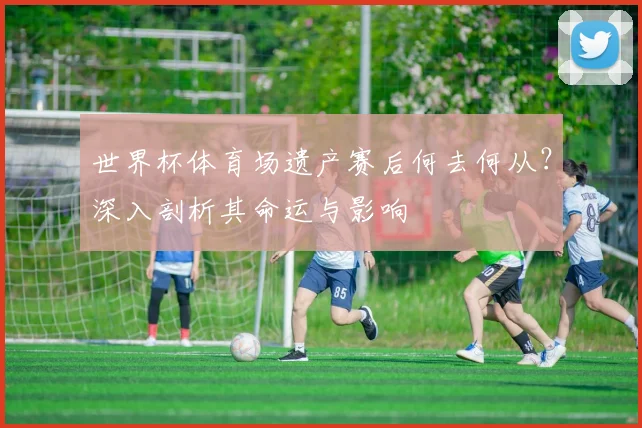 世界杯体育场遗产赛后何去何从？深入剖析其命运与影响
