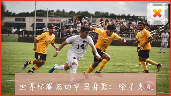 世界杯赛场的中国身影：除了男足，还有这些故事