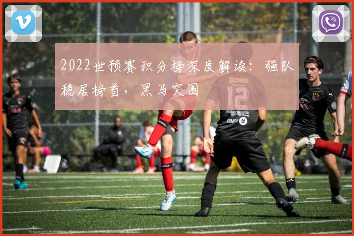 2022世预赛积分榜深度解读：强队稳居榜首，黑马突围